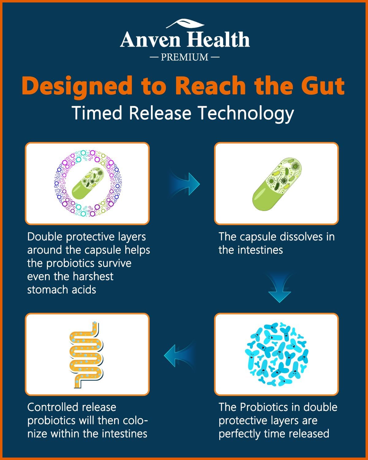 100 Billion Probiotics for Men and Women 27 Strains 5 Organic Prebiotics for Gut Digestive & Immune Health, Supports Diarrhea Gas Bloating, Non-GMO, Zero Fillers – Made in USA丨60 Caps