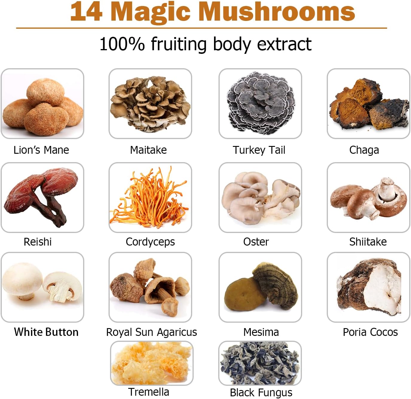 14 Mushrooms Supplement 120 Capsules - Immune System Booster & Nootropic Brain Supplement – with Lion’s Mane, Reishi, Maitake, Turkey Tail, Chaga Complex – Black Pepper for Absorption, 30% Beta-Glucan