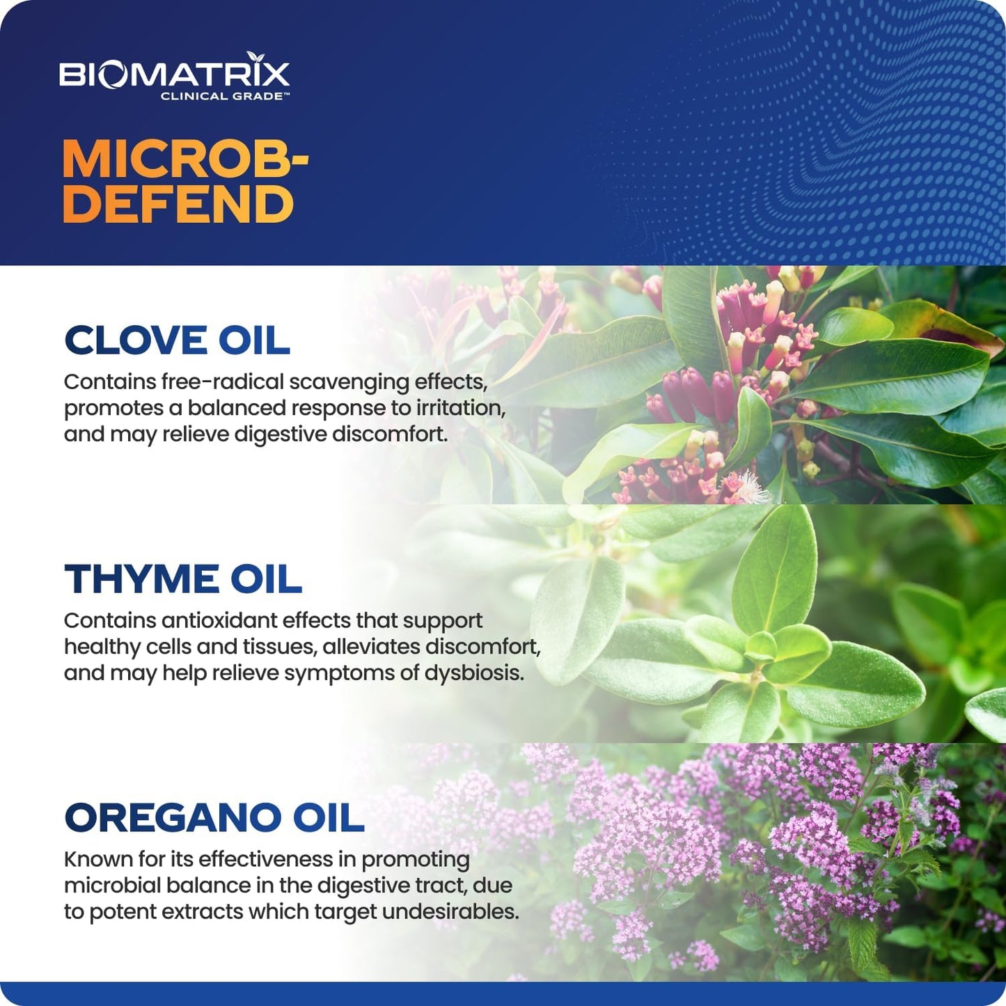 BioMatrix Oil Blend of Thyme, Oregano, Clove, Digestive Supplement for Men and Women, GI Repair Softgels | Microb-Defend (90 Capsules)