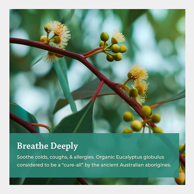 Silk Road Organic Eucalyptus Essential Oil Spray, 100% Pure USDA Certified Aromatherapy - Congestion, Colds, Cough, Sinus, Allergies & Skin Care – 1 Oz Spray