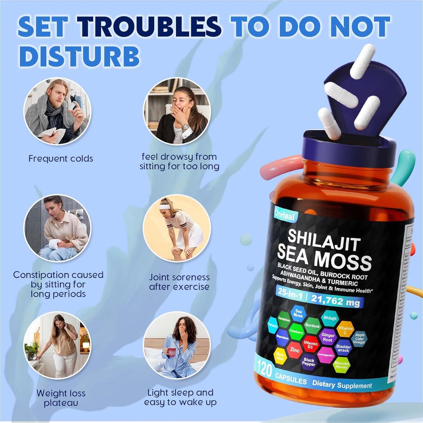 25-in-1 Sea Moss Black Seed Oil Ashwagandha Ginger Shilajit Supplement, with Burdock Root, Rhodiola Rosea, Vitamins C & D3, Shilajit Capsules for Men & Women - Boosts Energy, Skin, Joints & Immunity