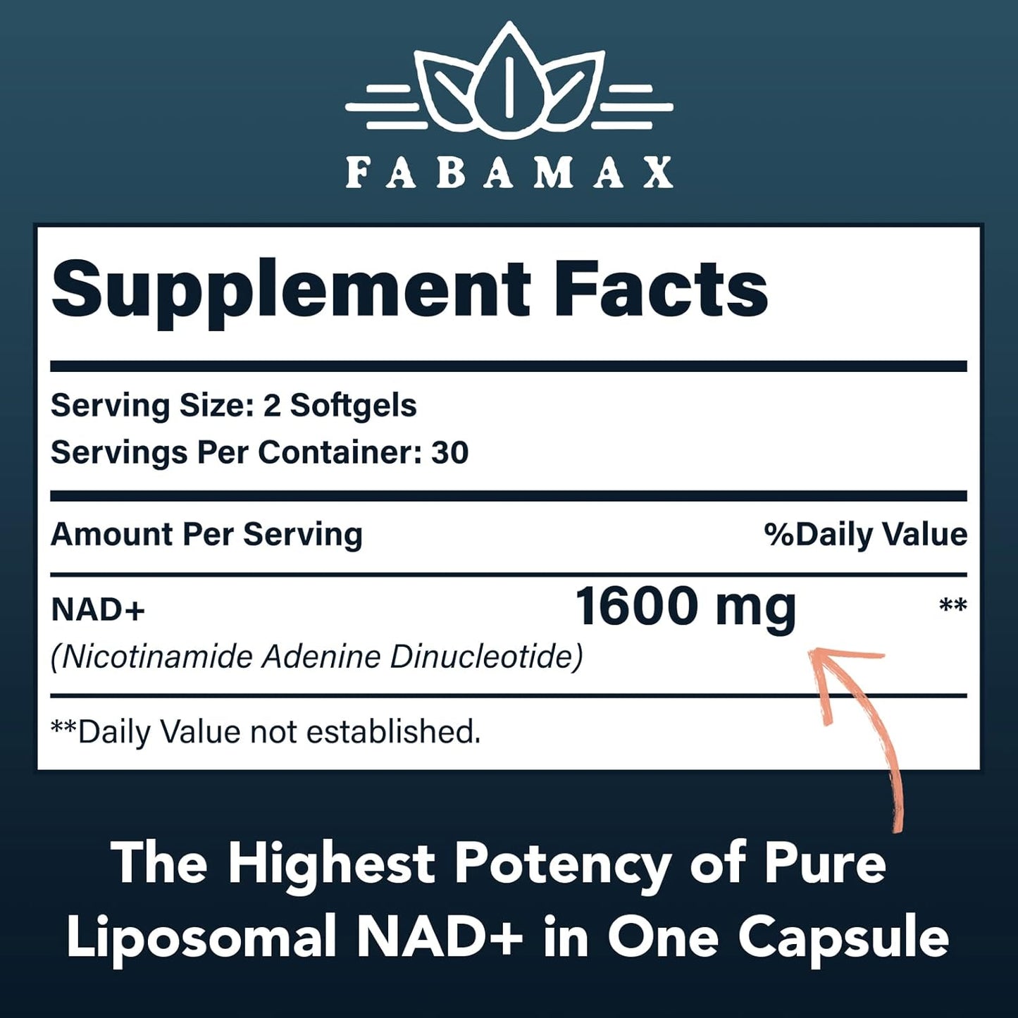 1600 mg Liposomal NAD Supplement, 98% Pure NAD+ Supplement, Superior Absorption, Alternative to Nicotinamide Riboside or NADH to Boost NAD+ for Aging Defense, Energy, Longevity,60 Softgels