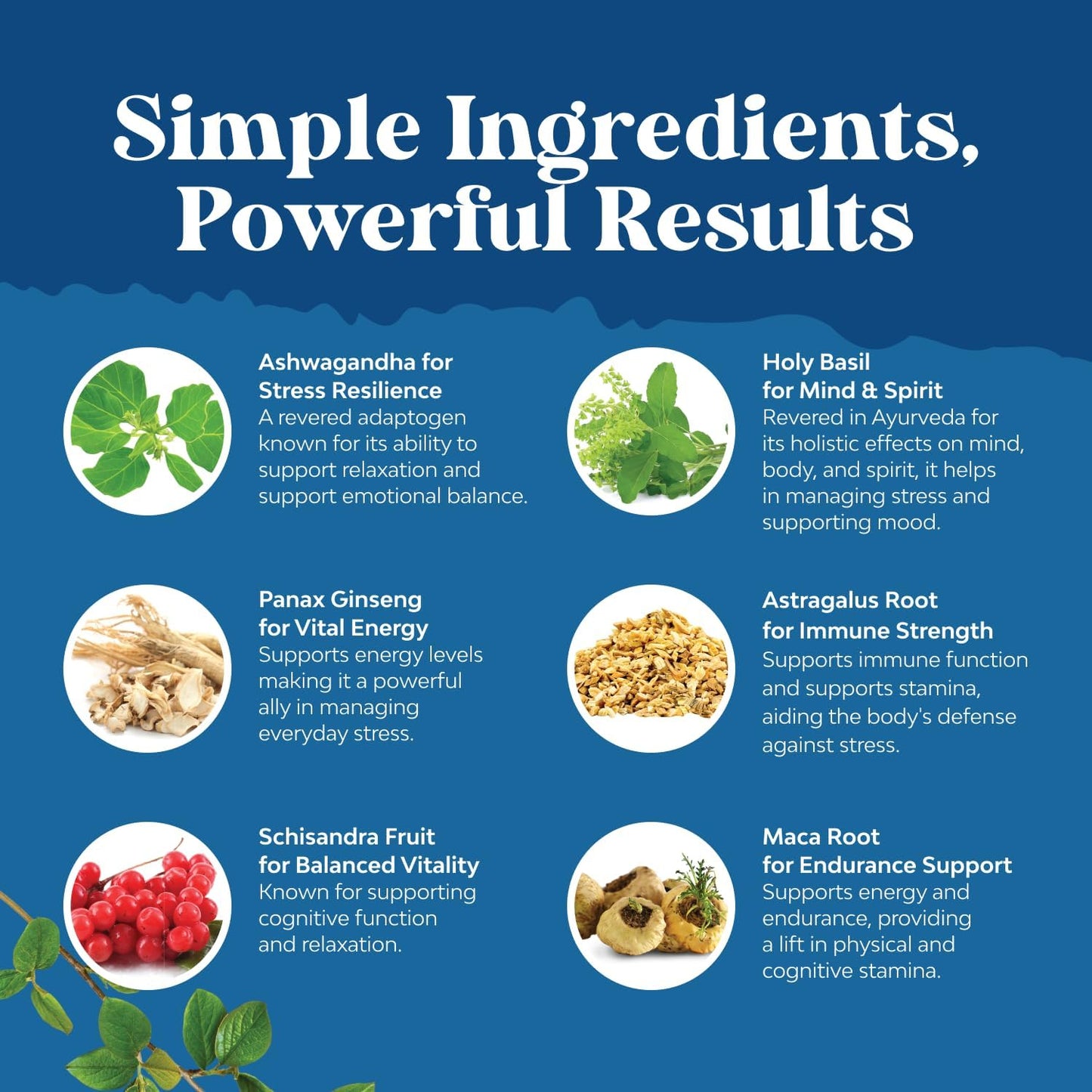 Herbal Adaptogen Mood Support Supplement - Calming Adaptogens Supplement for Stress & Cortisol Management with Ashwagandha Rhodiola Rosea & Maca Root - Vegan Non GMO & Daytime Friendly - 60ct