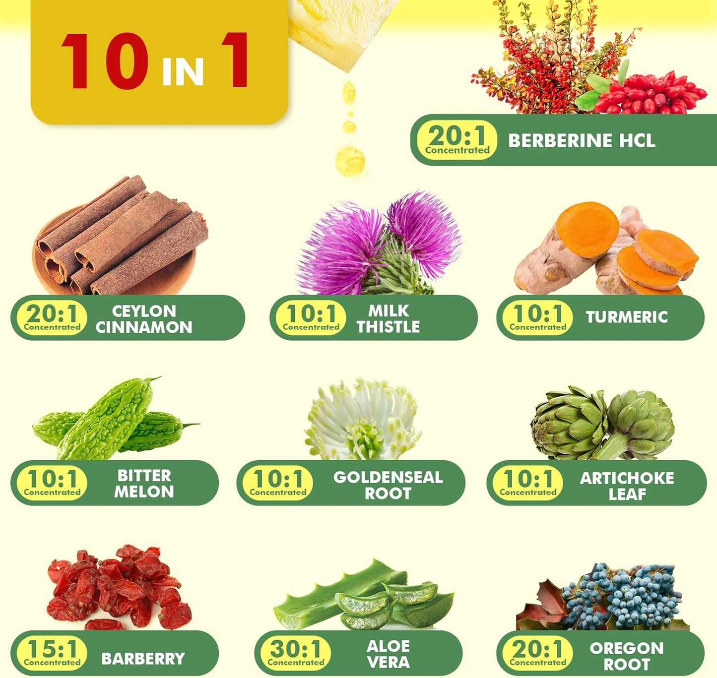 2Pack Berberine Supplement - Berberine Liquid Drops with Ceylon Cinnamon, Turmeric, Bitter Melon, Milk Thistle, Berberine HCL Supplement Activates AMPK & GLP-1 for Digestion System Support