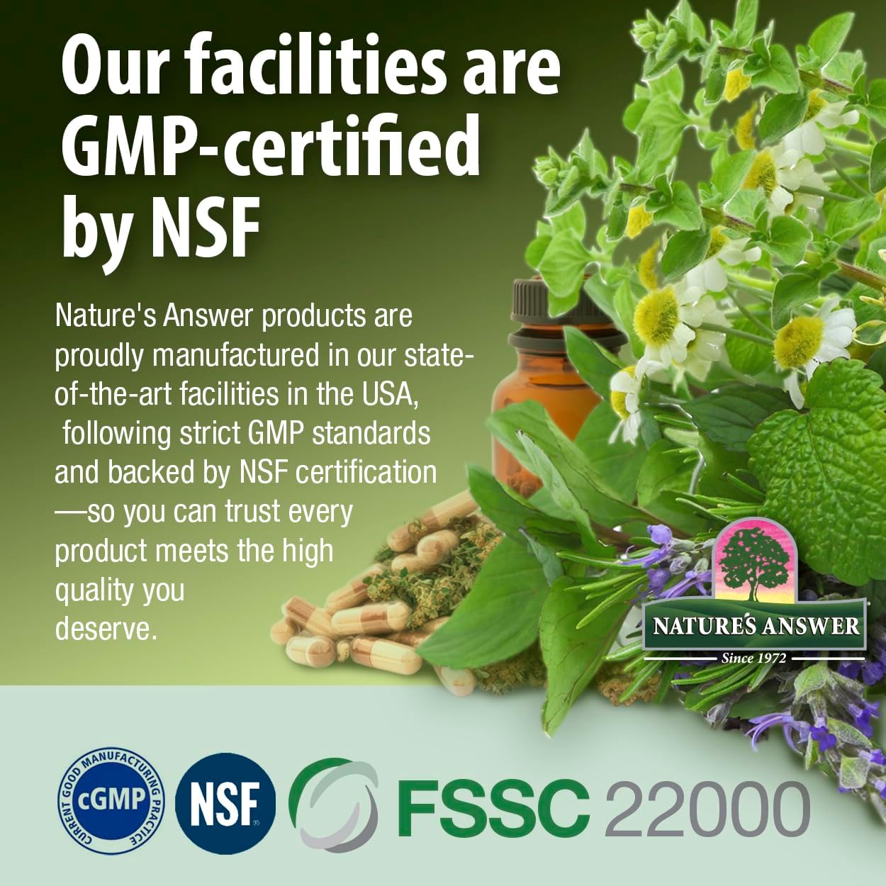 Nature's Answer Alcohol-Free Bitters with Ginger, 2-Fluid Ounces