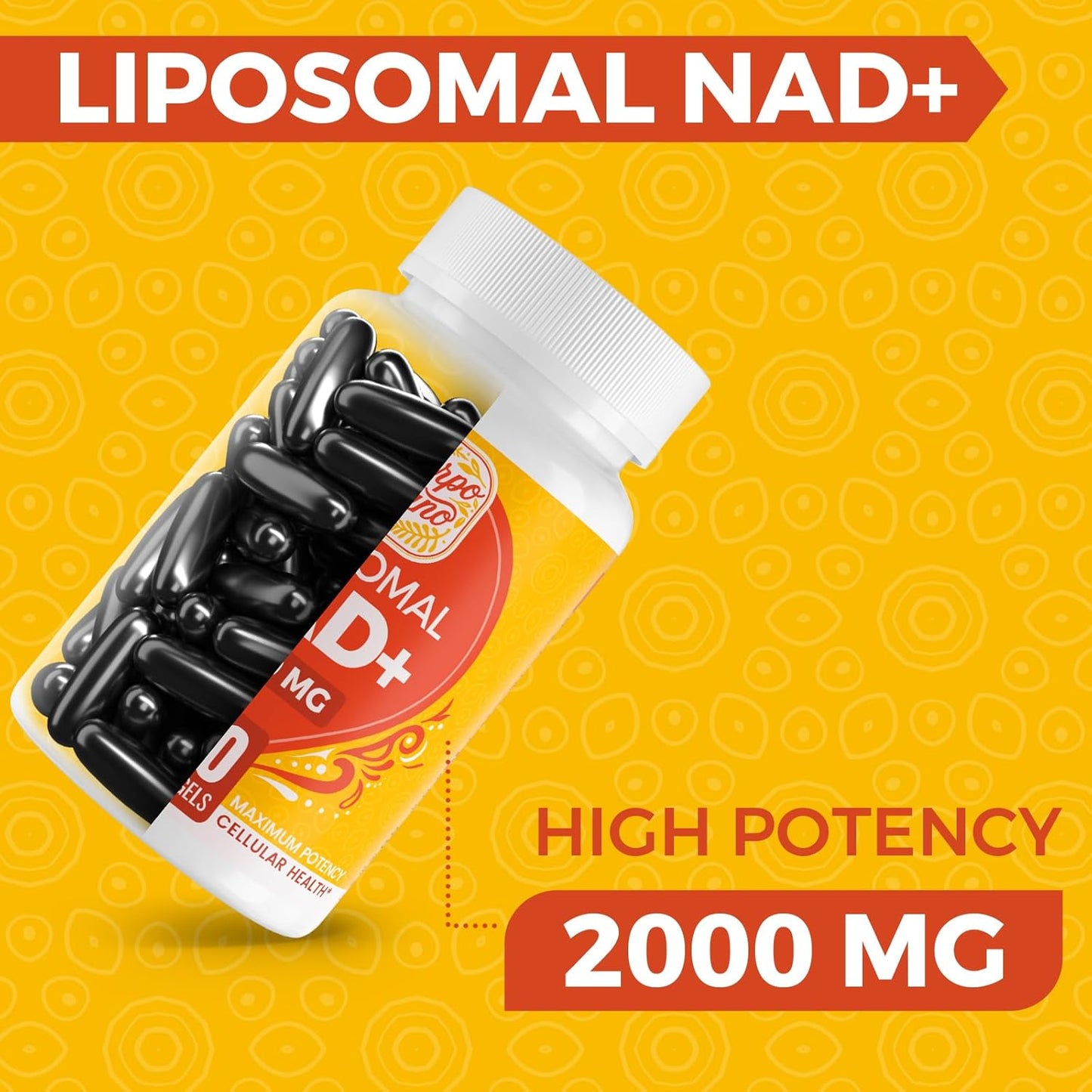 2000 MG NAD Supplement, Liposomal NAD+ with High Absorption, More Efficient Than Nicotinamide Riboside, Pure & Plus Boosting Supplement, Aging Defense, Metabolism & Cellular, 480 softgels
