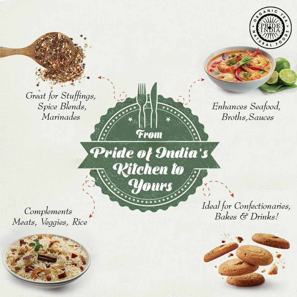 Pride of India – Fennel Seed Whole – Gourmet Spice – Fresh & Aromatic – Mouth Freshener – GMO/Gluten Free – Flavoring for bakes, meat & more – Easy to Use – 8 oz. Medium Dual Sifter Jar