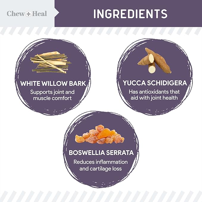 Mobility and Vitality Supplement for Senior Dogs - 120 Tablets for Senior Dog Wellness and Pain Reliever - Made with Glucosamine, MSM, Yucca, and More for Hip and Joint Support - Made in the USA