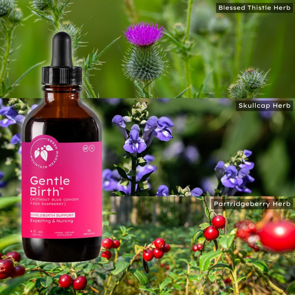 Mountain Meadow Herbs Gentle Birth for Birth Prep/Labor Prep, Fast Acting Liquid Herbal Extract for Childbirth Support w/o Blue Cohosh - 4oz