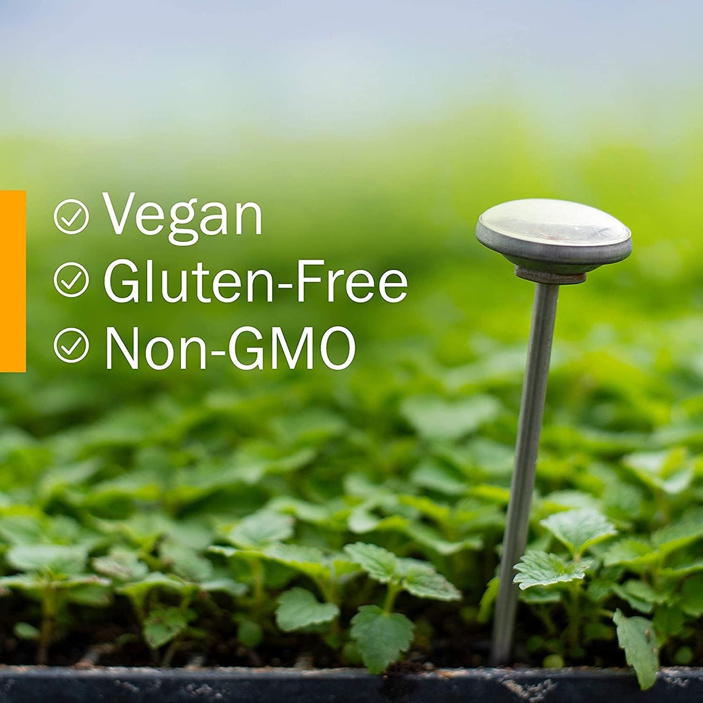 Herb Pharm Certified Organic Red Clover Liquid Extract, 1 Fl Oz