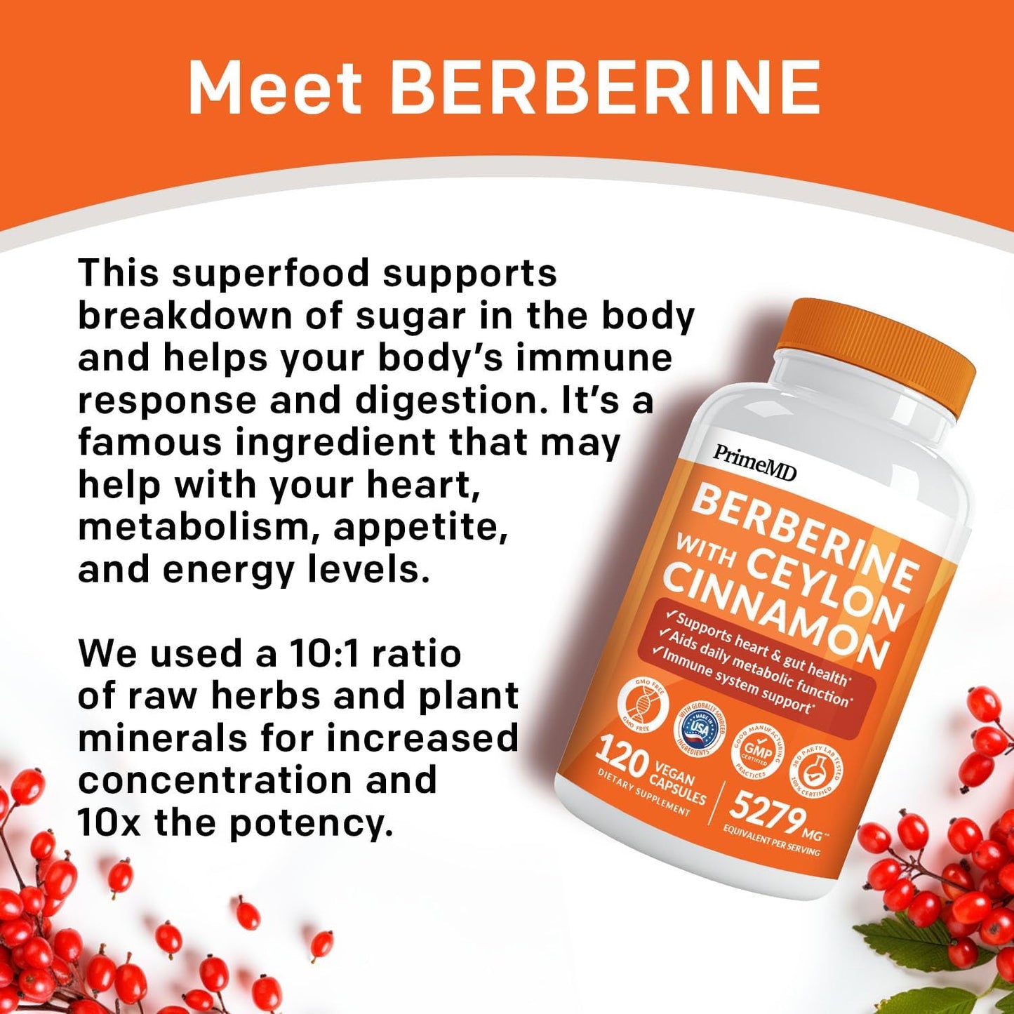 21-in-1 Berberine Supplement with Ceylon Cinnamon with Chromium, Bitter Melon and Green Tea Extract and Black Pepper Extract 5X for Energy & Metabolism Support with 5279 mg (120 ct, Pack of 4)