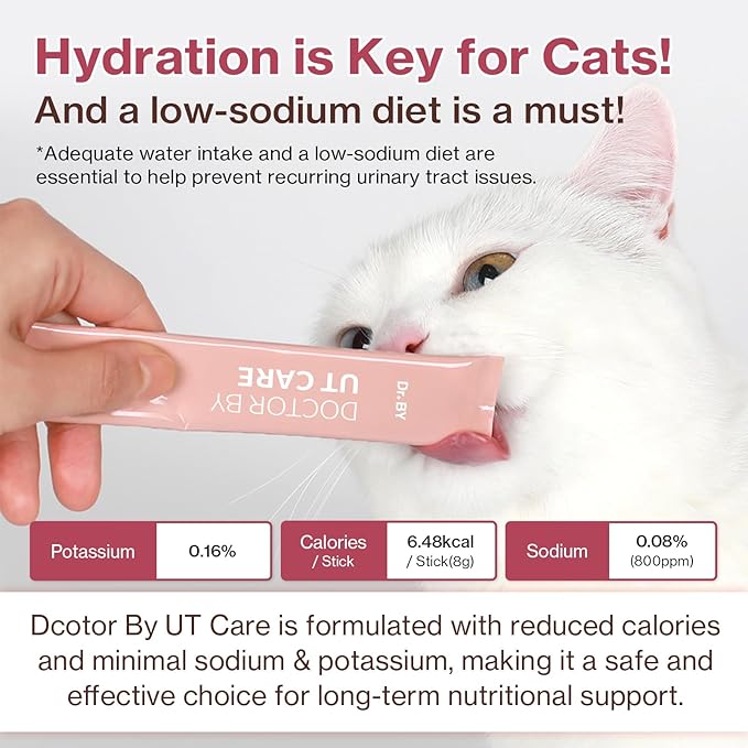 Doctor By UT Care Cat UTI Kidney Support Urinary Supplement Cranberry Treatment for Cats Renal Health with Pacran, Quercetin, Taurine lickable Formula Individually Packaged (1 Pack)
