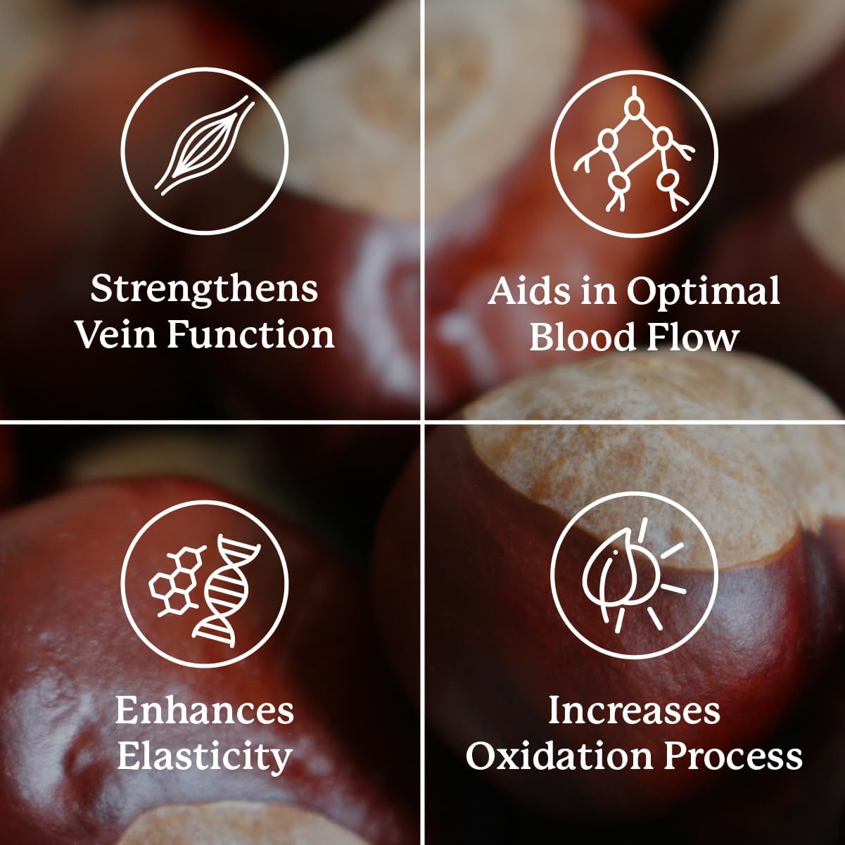 Nature's Sunshine Vari-Gone, 90 Capsules, Varicose Vein Supplements with 7 Powerful Herbs and Nutrients That Support Circulation for Vein Health, Strength, and Function