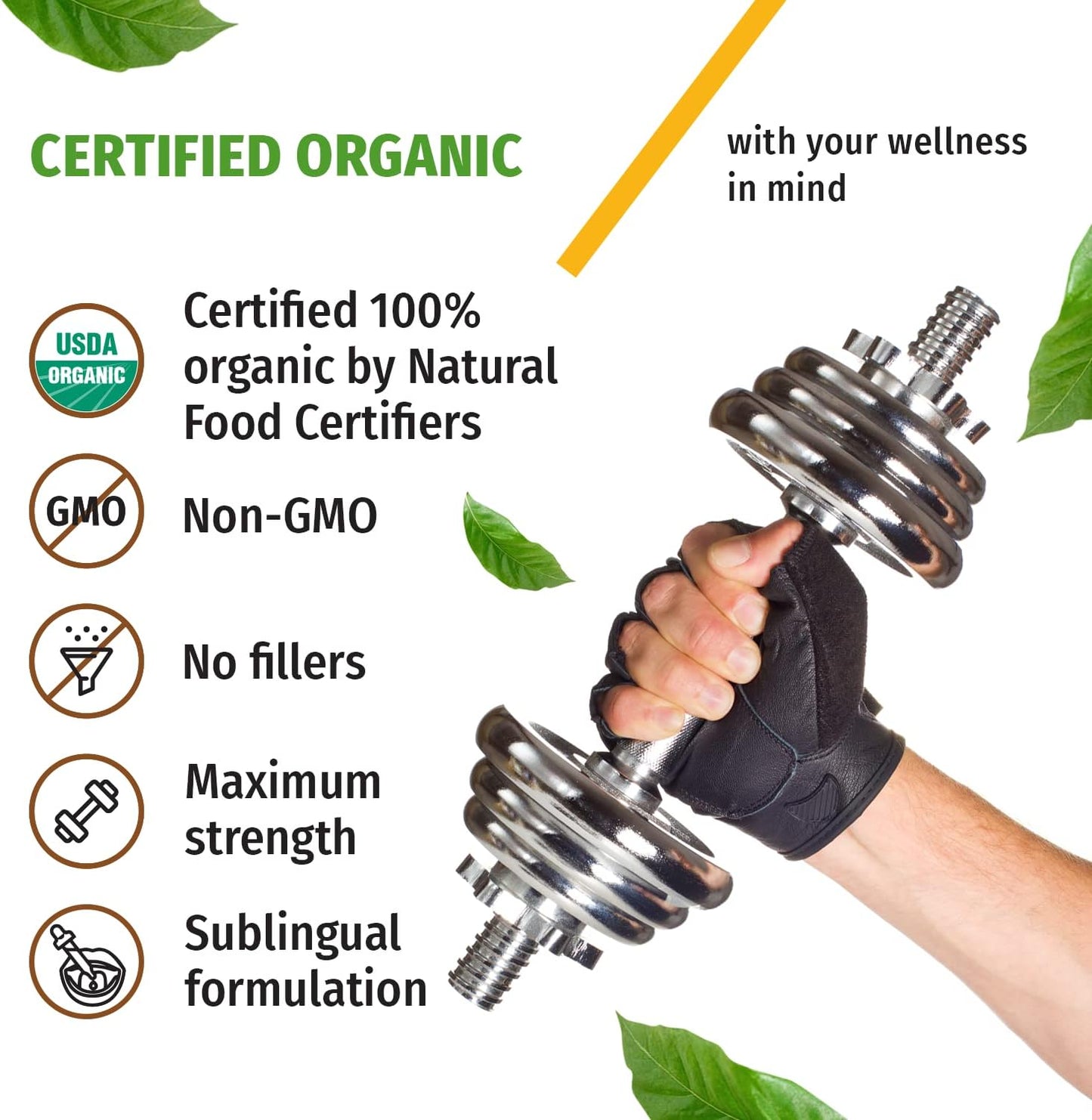 (2 Pack) Organic Vitamin D3 K2 Drops with MCT Oil Omega 3, 5000 IU - Maximum Strength Vitamin D Liquid, No Fillers, Non-GMO Liquid D3 for Faster Absorption and Immune Support (Vanilla, 1 Fl OZ x 2)