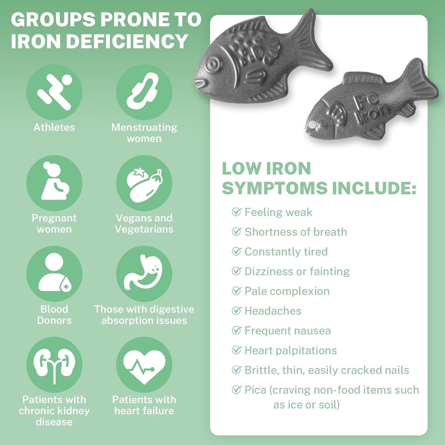 2 Pack Iron Fish, Natural Iron Supplement for Anemia & Vegans, Effective & Safe Cooking Tools Add to Food and Water, Reduces Risk of Iron Deficiency