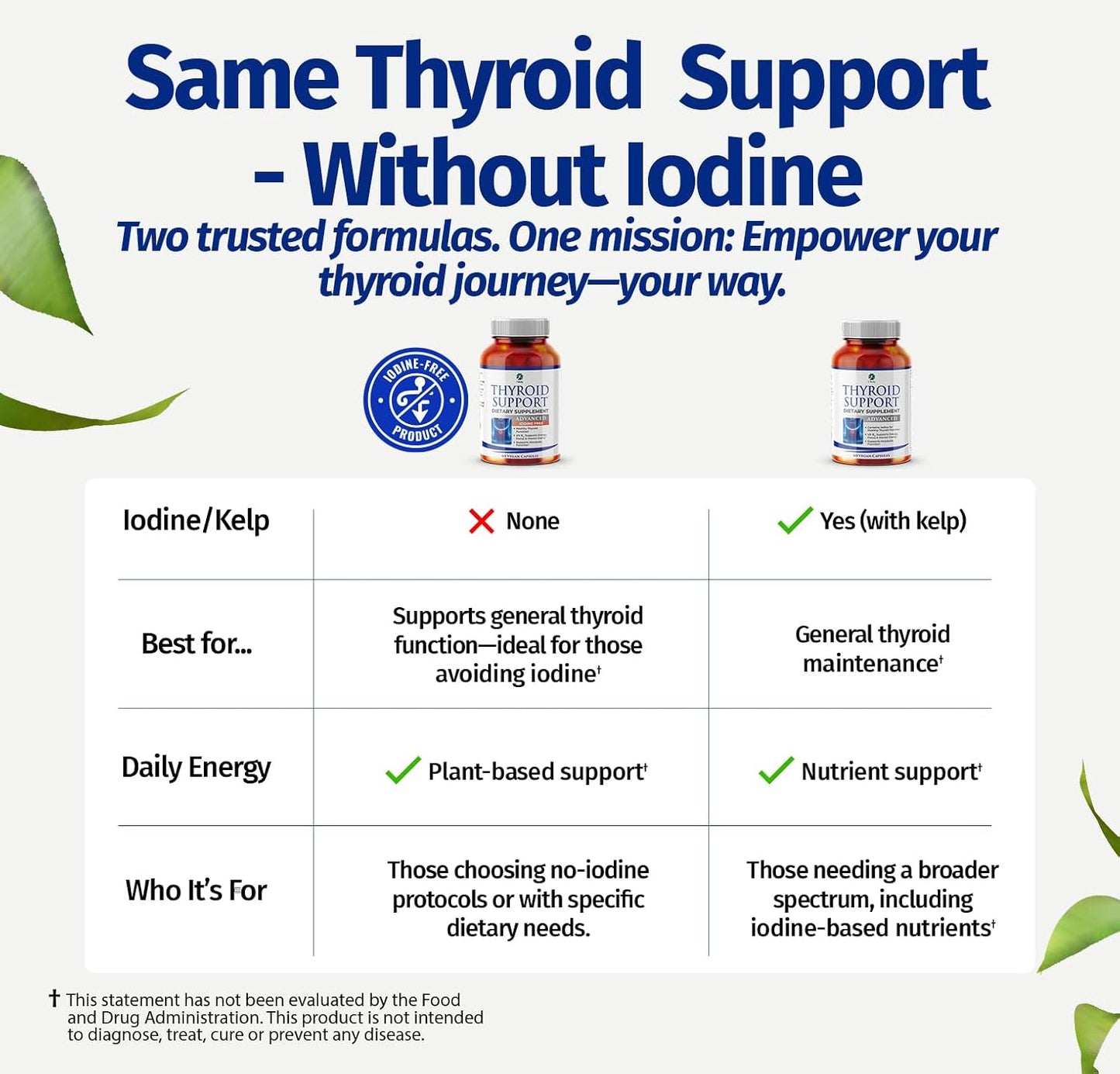 1 Body Thyroid Support Supplement, Iodine-Free, Vegan, with L-Tyrosine and Ashwagandha, 60 Capsules