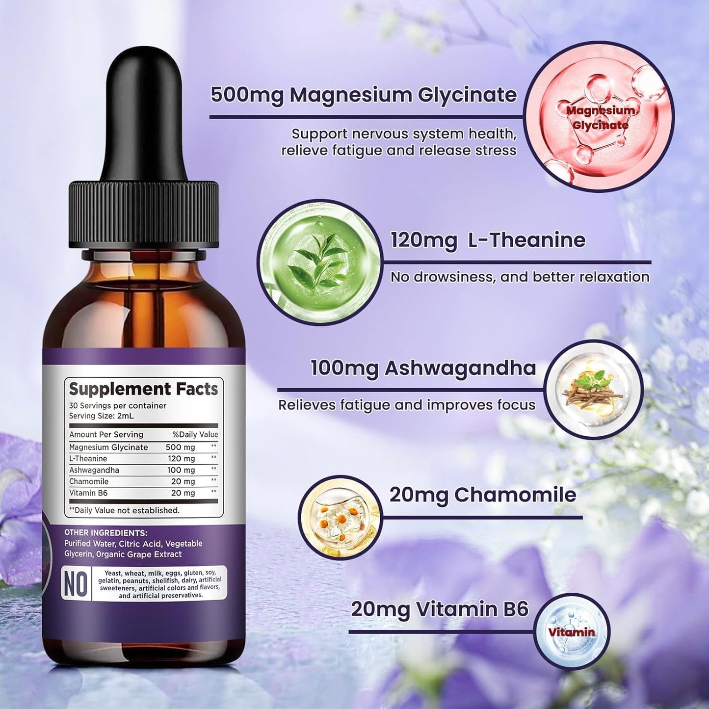 (2 Pack) Magnesium Glycinate Liquid Drops 500mg, with Vitamin B6, Ashwagandha, L - Theanine, Chamomile, Magnesium Glycinate Supplement High Absorption for Sleep, Stress, Energy Mood - Grape Flavor