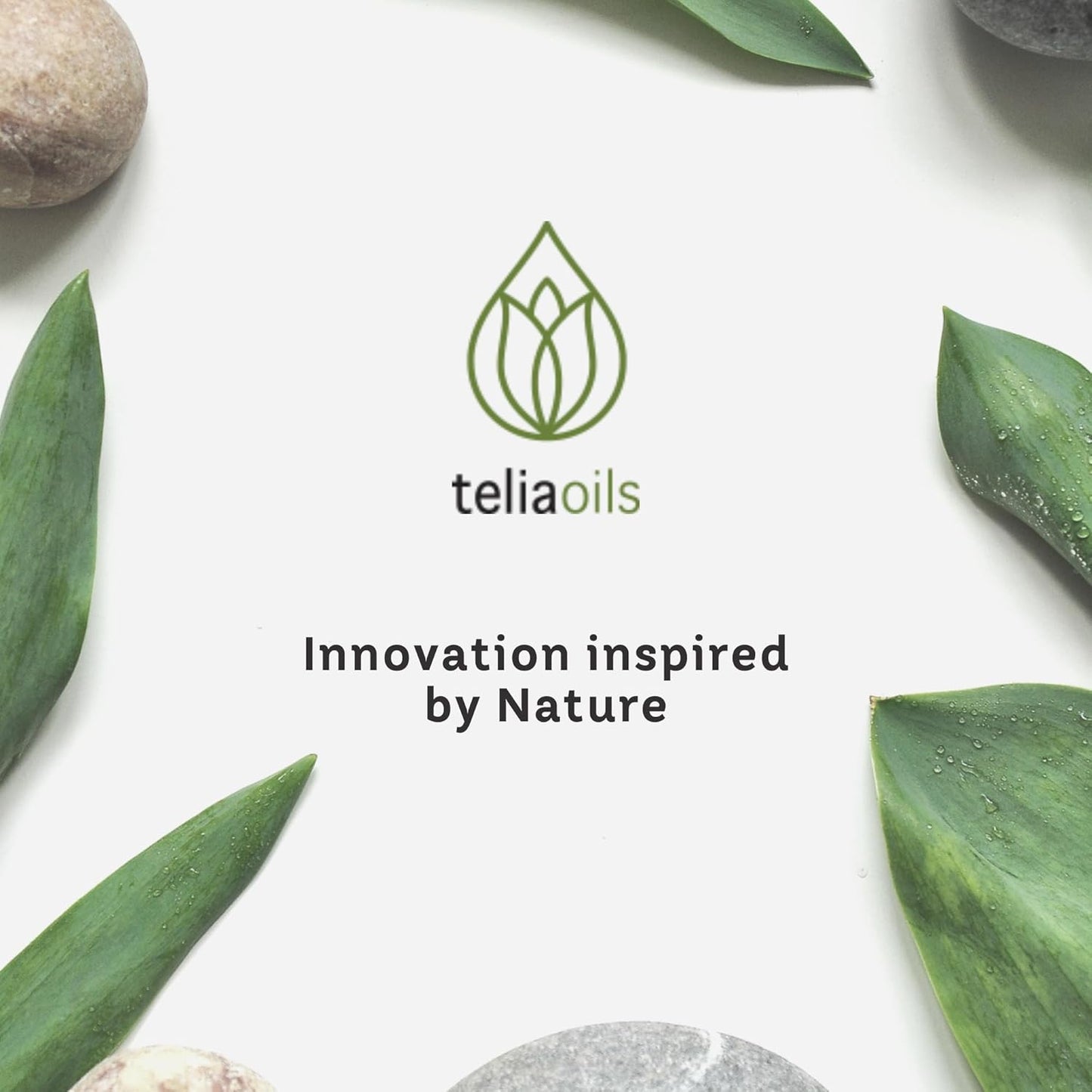 Teliaoils Red Clover Extract Infused in Olive Oil – Macerated Herbal Oil for Skin Elasticity, Anti-Aging Hair Health Women’s Wellness – 1.7 Oz (50ml)