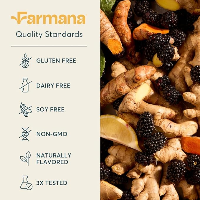 Immune Support Drink Mix - Immune Support with Mushrooms and Botanicals - Antioxidant-Rich Vitamin D & C Blend - Daily Immune Booster with Organic Ingredients - Spicy BlackBerry Ginger