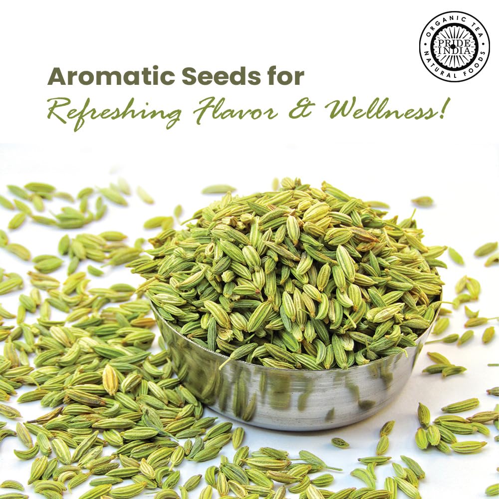 Pride of India - PACK of 6 - Fennel Seed Whole – Gourmet Spice – Fresh & Aromatic – Mouth Freshener – GMO/Gluten Free – Flavoring for bakes, meat & more – Easy to Use – 8 oz. Medium Dual Sifter Jar