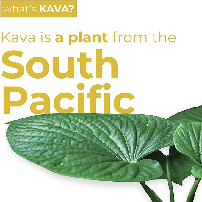 LEILO | Kava Powered Pina Colada Mocktail Drink | Sugar-Free & Non-ALC Functional Relaxation Support | 12 fl oz Cans (Pack of 12)