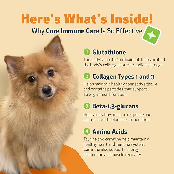 Pet Wellbeing Core Immune Care for Dogs - Daily Antioxidant Support for Pets of All Ages - Veterinarian Formulated Holistic Immune Support - 3.7 oz (105 g) Powder