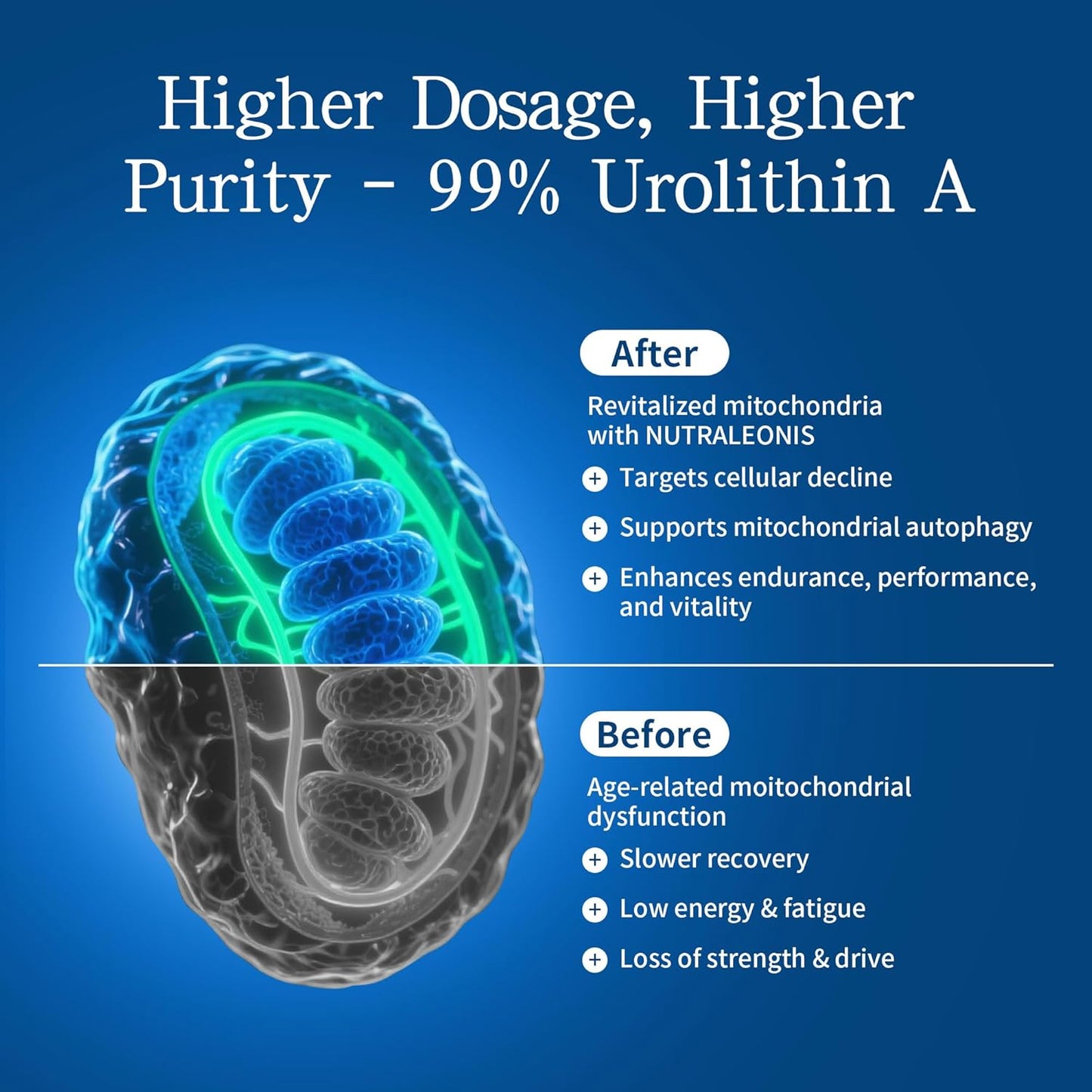 Urolithin A Supplement 1000 mg - 60 Capsules | Mitochondrial Support with NAD+ & PQQ | Boosts Cellular Energy and Rejuvenation | 99% Pure Urolithin A