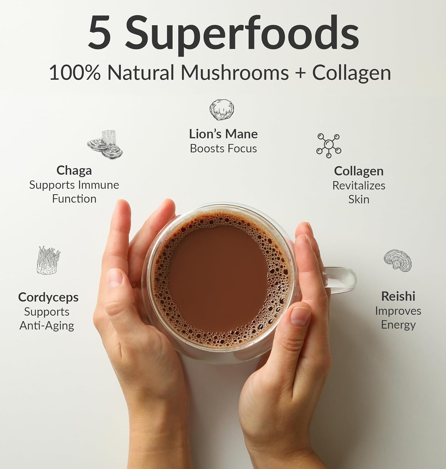BIOptimizers Mushroom Coffee Alternative – Chocolate Drink – Lion’s Mane, Chaga, Reishi + Collagen Peptides for Focus, Energy & Gut Health – Adaptogenic Mushrooms & MCT Powder – 15 Servings