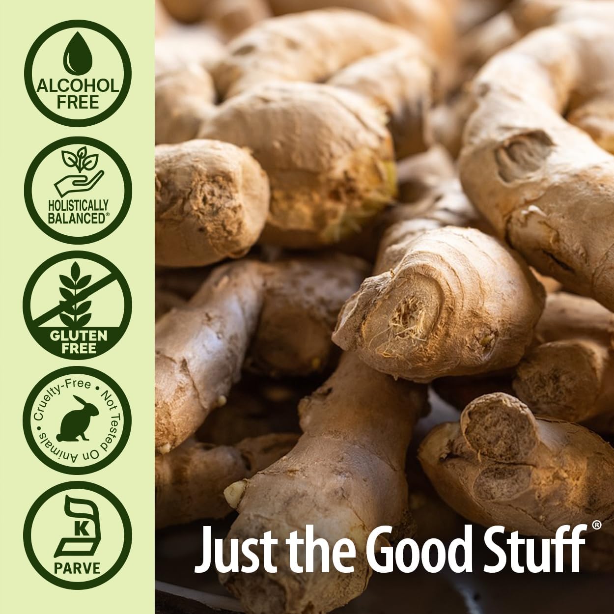 Nature's Answer Alcohol-Free Bitters with Ginger, 2-Fluid Ounces