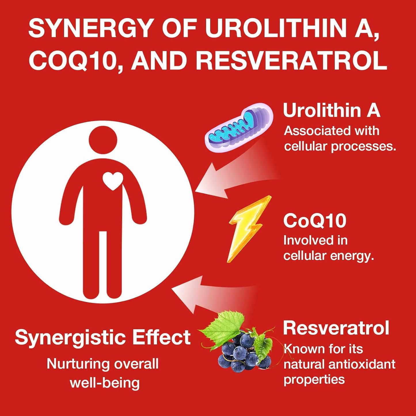 Urolithin A Supplement with CoQ10 & Resveratrol for Mitochondrial, Cellular Energy, Antioxidants & Anti-Aging – High Potency & Vegan & Gluten-Free – 120 Softgels