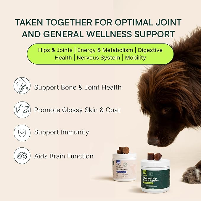 Wuffes 23-in-1 Dog Multivitamin Supplement for Hip & Joint, Skin & Coat and Immune System Support with Omega 3, Iron, Zinc, Vitamin C - Minerals & Vitamins for Senior Dogs and Puppies - 60 Soft Chews