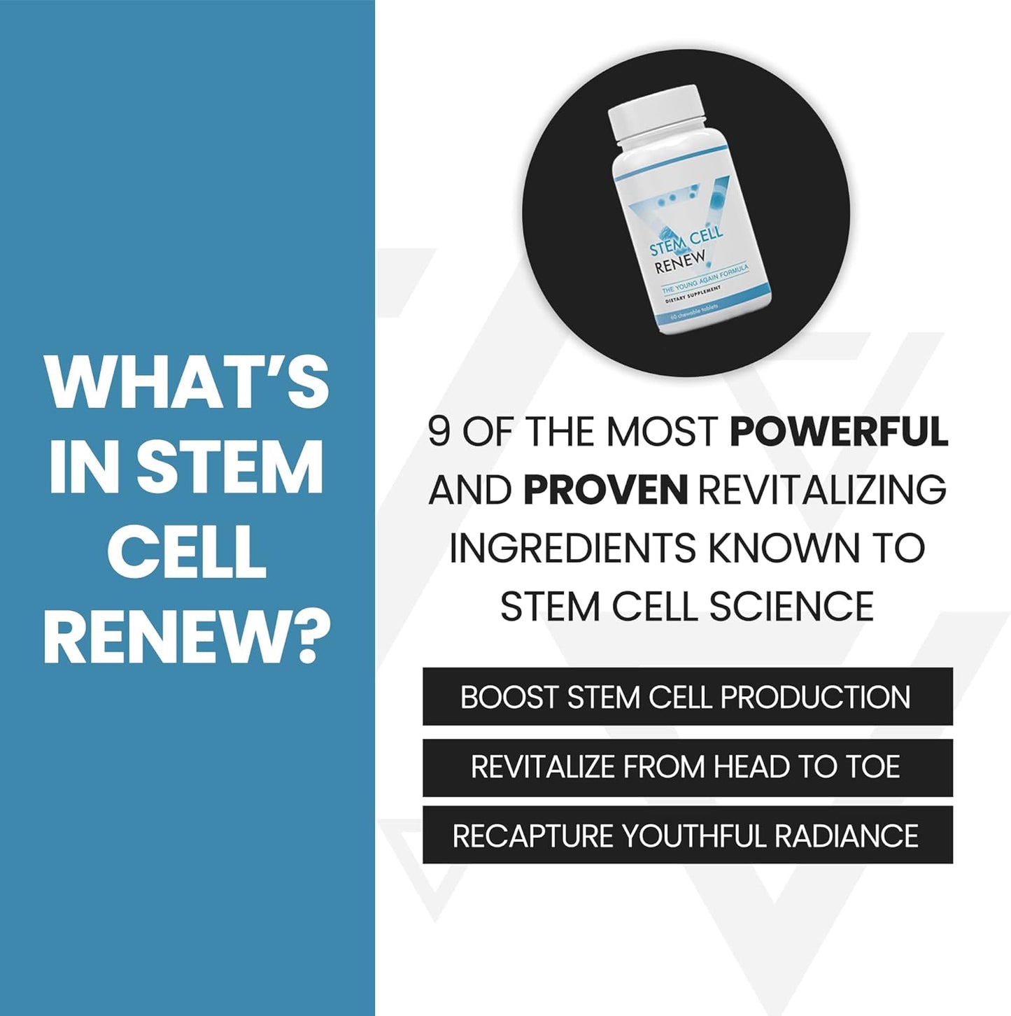 Stem Cell Renew | Boost Your Natural Supply of Stem Cells to Strengthen Mental Sharpness, Help Slow Signs of Aging and Restore Youthful Energy - Created by NASA Scientist | 1-Month Supply (60 count)
