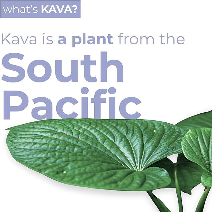 LEILO | Kava Powered Sparkling Relaxation Drink | BlackBerry Orange - Non-ALC Calming Beverage | 12 fl oz Cans (Pack of 12)