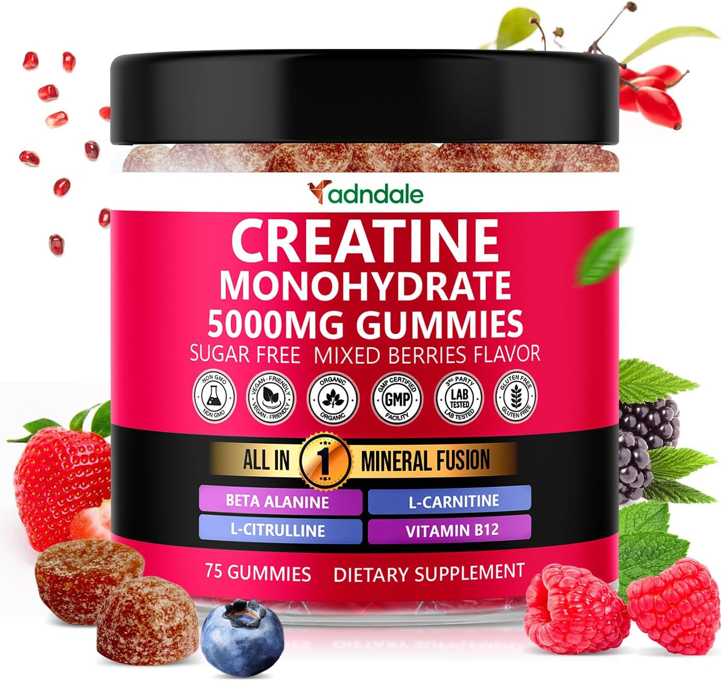Adndale Creatine Monohydrate Gummies for Men & Women, 5000mg per Serving Creatine Supplement with Beta-Alanine, L-Citrulline & B12 - Supports Strength and Energy - 75 Vegan Gummies, Sugar-Free
