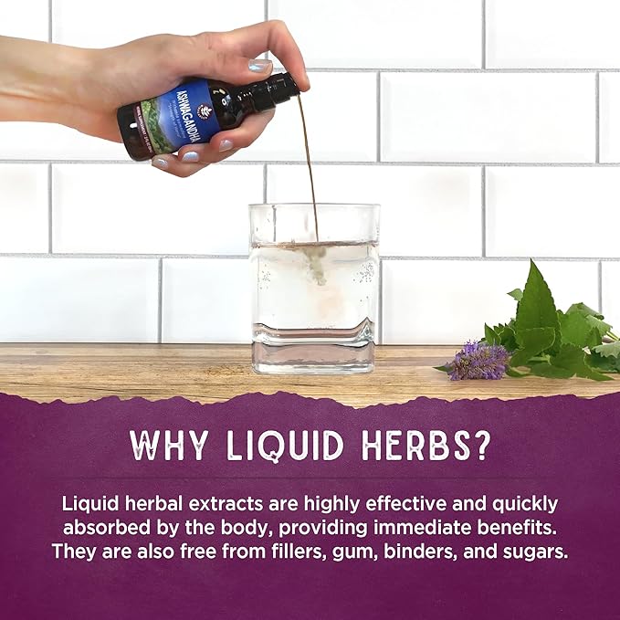 WishGarden Kick Ass Allergy, 1 FZ