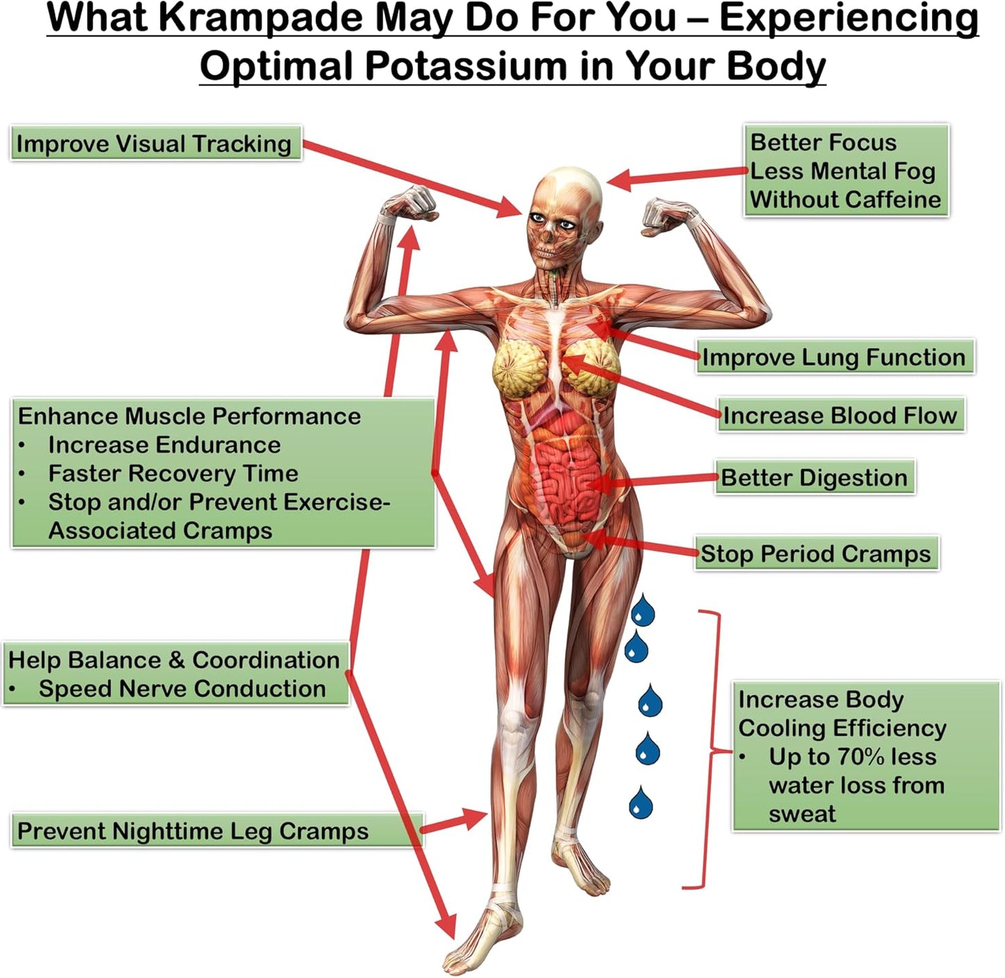 2.0 2K: 50 mg Magnesium + 2000 mg Potassium Cramp Relief Electrolyte Drink Powder: Faster Recovery, Slower Fatigue, Optimized Hydration | 20 Single-Serving Packets (Fruit Punch)