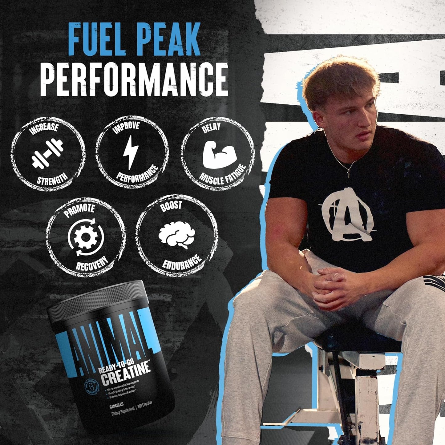 Animal Micronized Creatine Monohydrate Capsules - 300 Caps, 2500mg per Serving for Muscle Growth, Strength, and Endurance