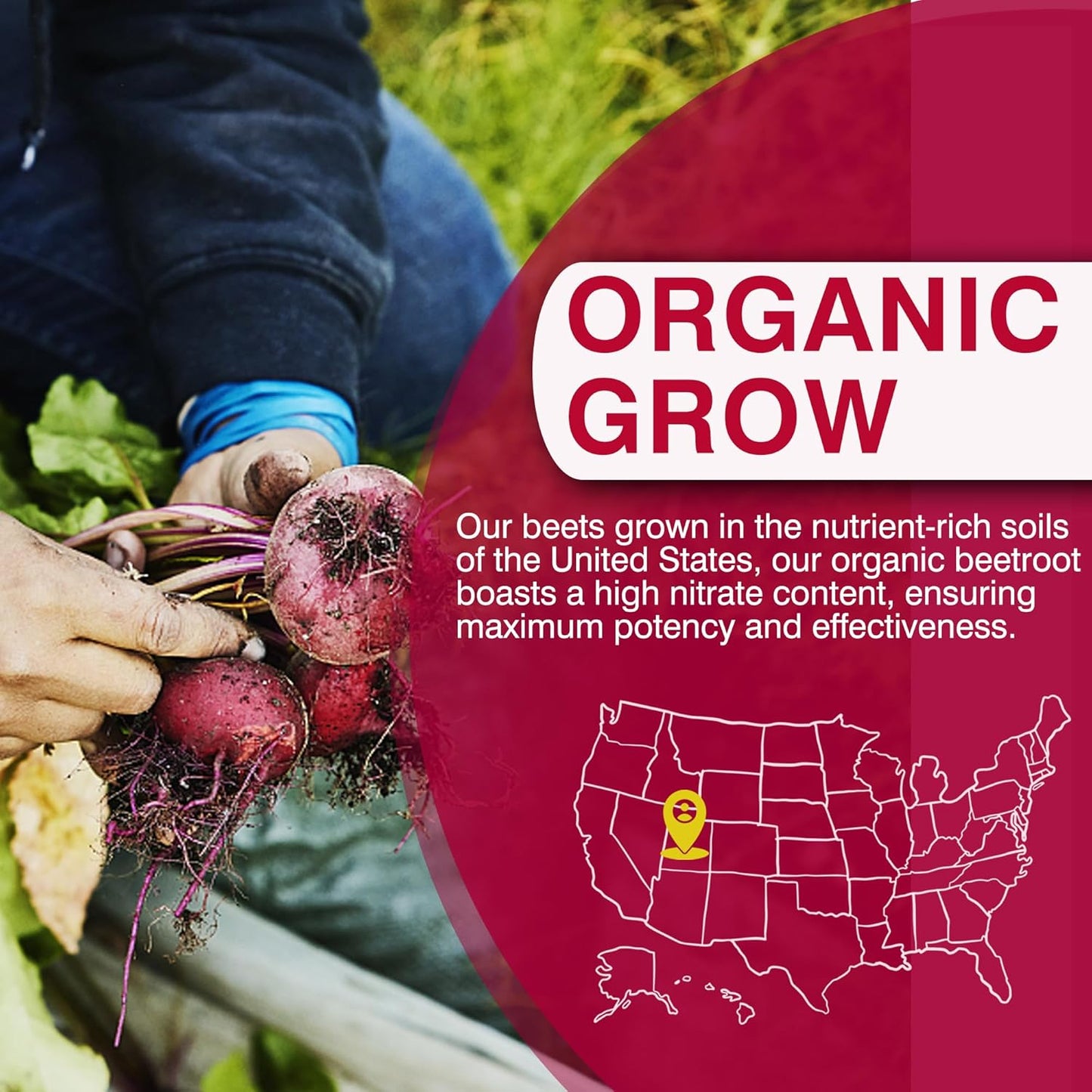 Beet Root Capsules 2000mg Nitric Oxide Supplements w/ Grape Seed Extract, Pomegranate Extract Supports Circulation & Blood Flow, Energy for Men/Women, Organic Beetroot Powder, Non GMO, 240 Counts