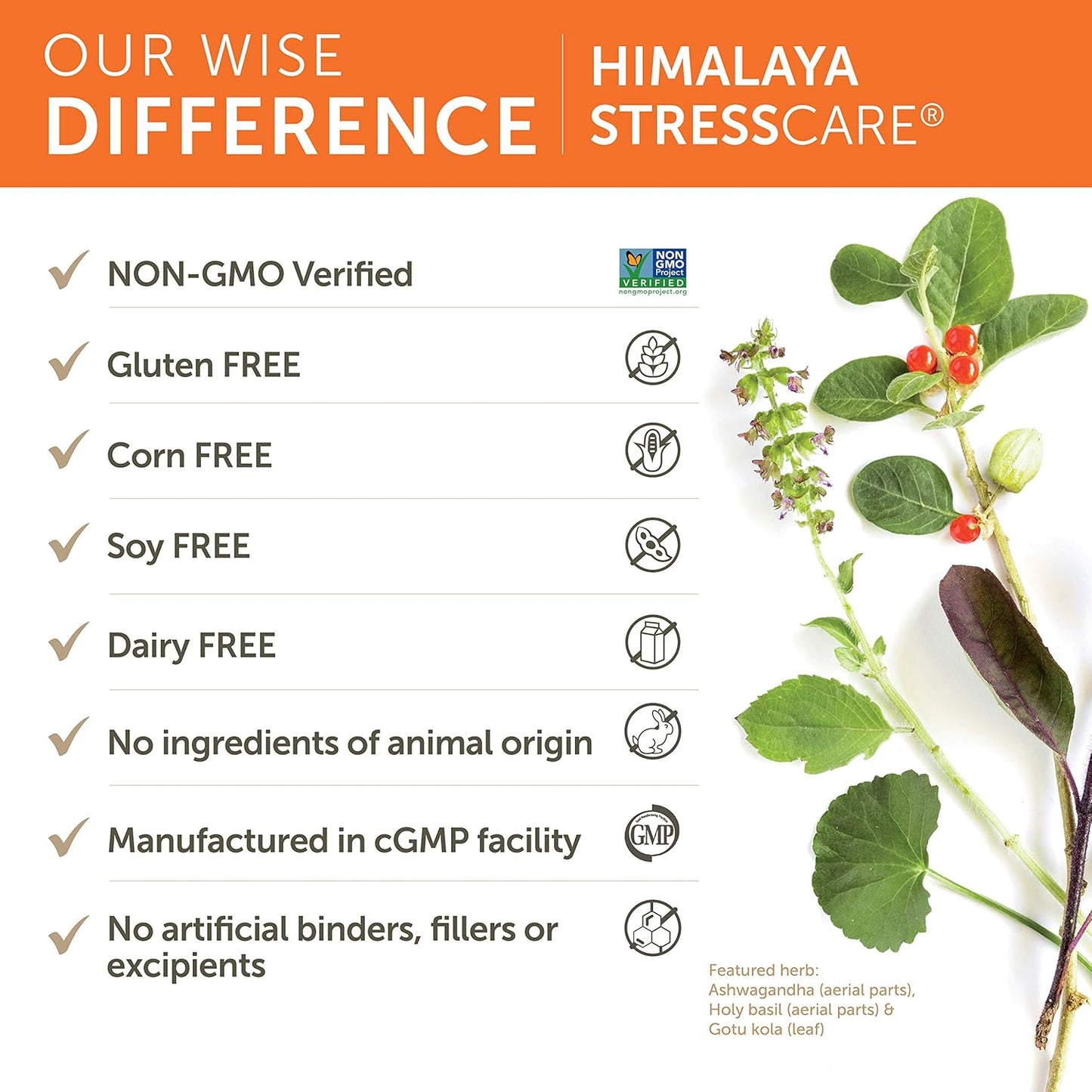 Himalaya StressCare, 60 Day Supply - Herbal Adrenal Support for Calming Relaxation, Stress Relief, Energy Support and Occasional Sleeplessness - Vegan, Non-GMO, Gluten Free, 240 Capsules