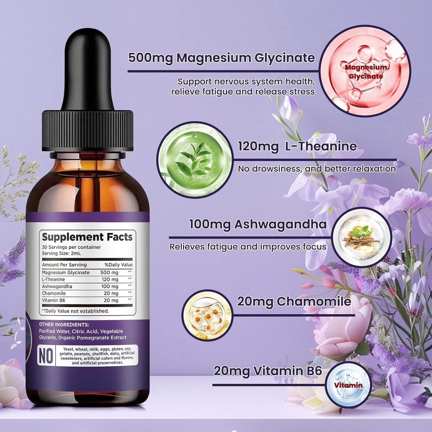 (2 Pack) Magnesium Glycinate Liquid Drops 500mg, with Vitamin B6, Ashwagandha, L - Theanine, Chamomile, Magnesium Glycinate Supplement High Absorption for Sleep, Stress, Energy - Pomegranate Flavor