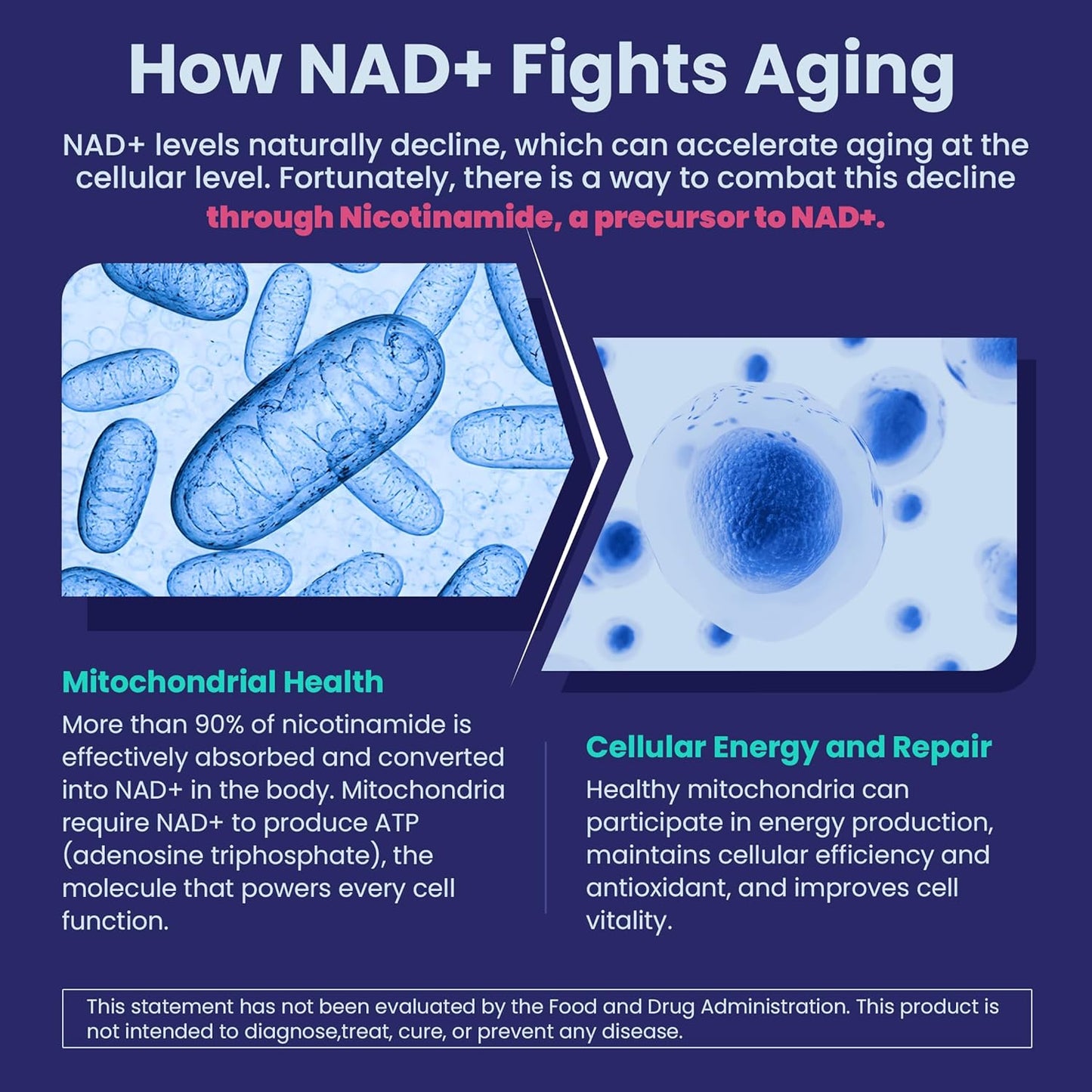 2 Pack - Nicotinamide 500mg Gummies, NAD+ Supplement for Women & Men w/Collagen Peptides, (Flush Free Niacin) Vitamin B3 Niacinamide for Anti-Aging, NAD+ Levels, Longevity, Focus & Brain, Sugar Free