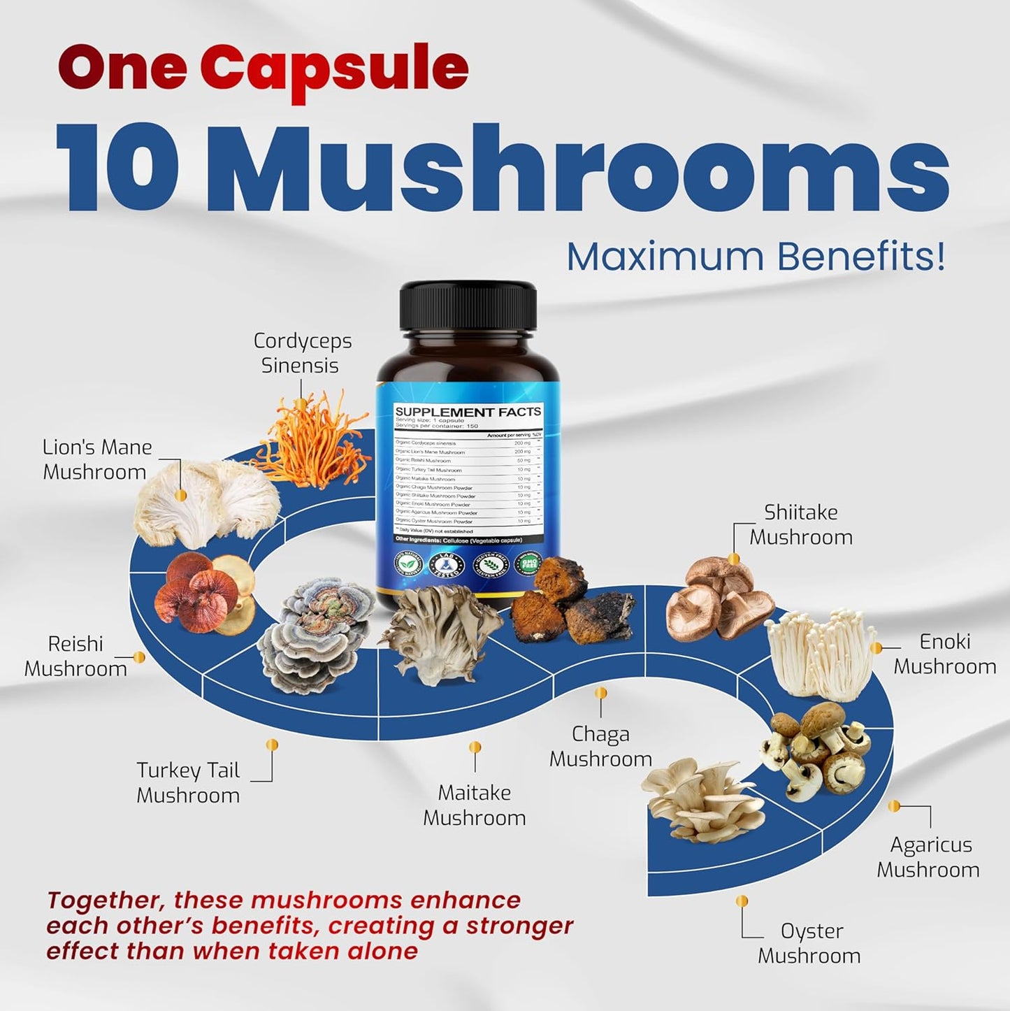 10 in 1 High Strength Mushroom Supplement - Lions Mane, Cordyceps, Reishi - Brain Supplements for Memory and Focus ** 5-Month Supply