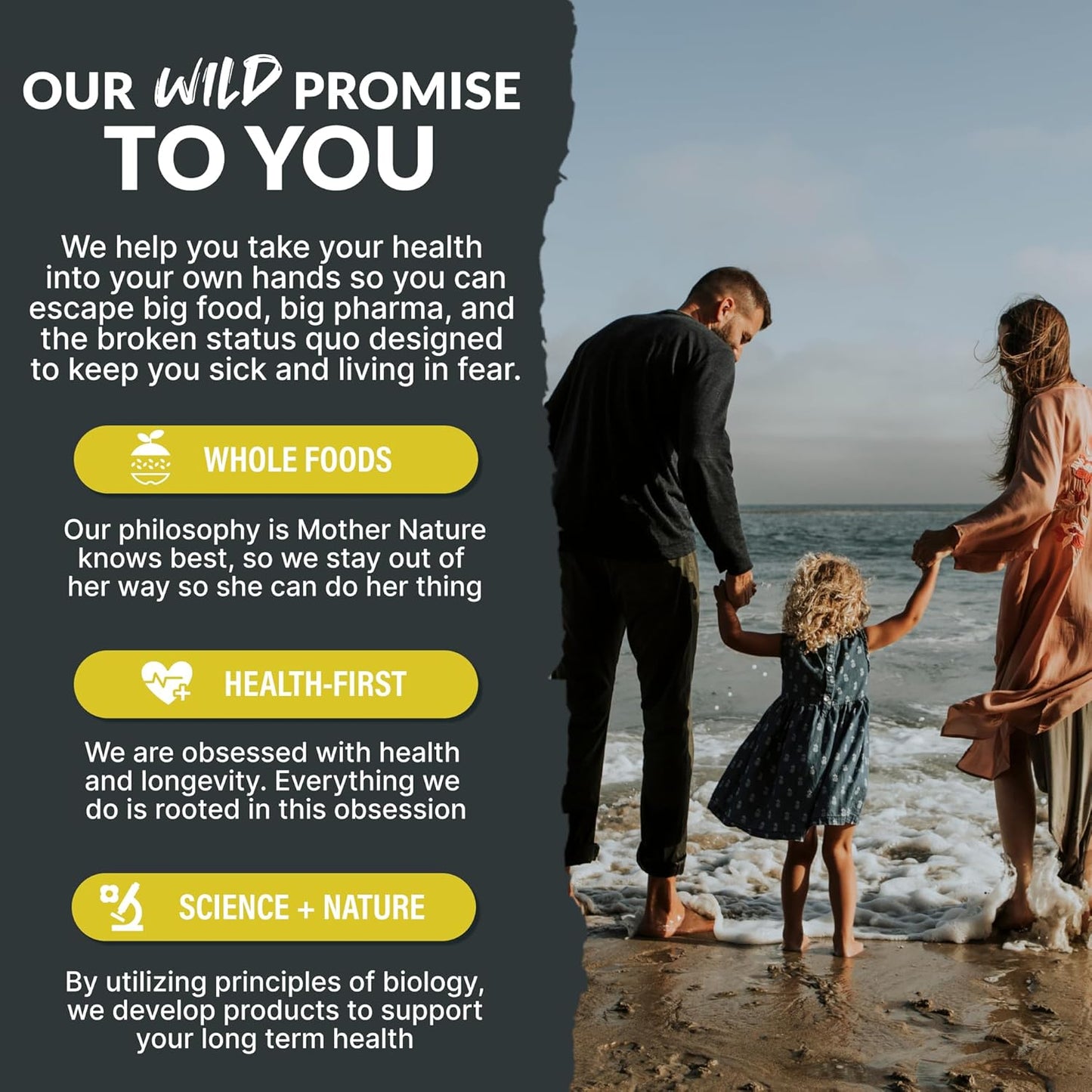 Wild Foods 100% Creatine Monohydrate Powder Packets - 20 Packets - for Brain, Muscle Performance & Strength – Pure Creatine for Men & Women, USA Made– 5g Creatina Per Serving