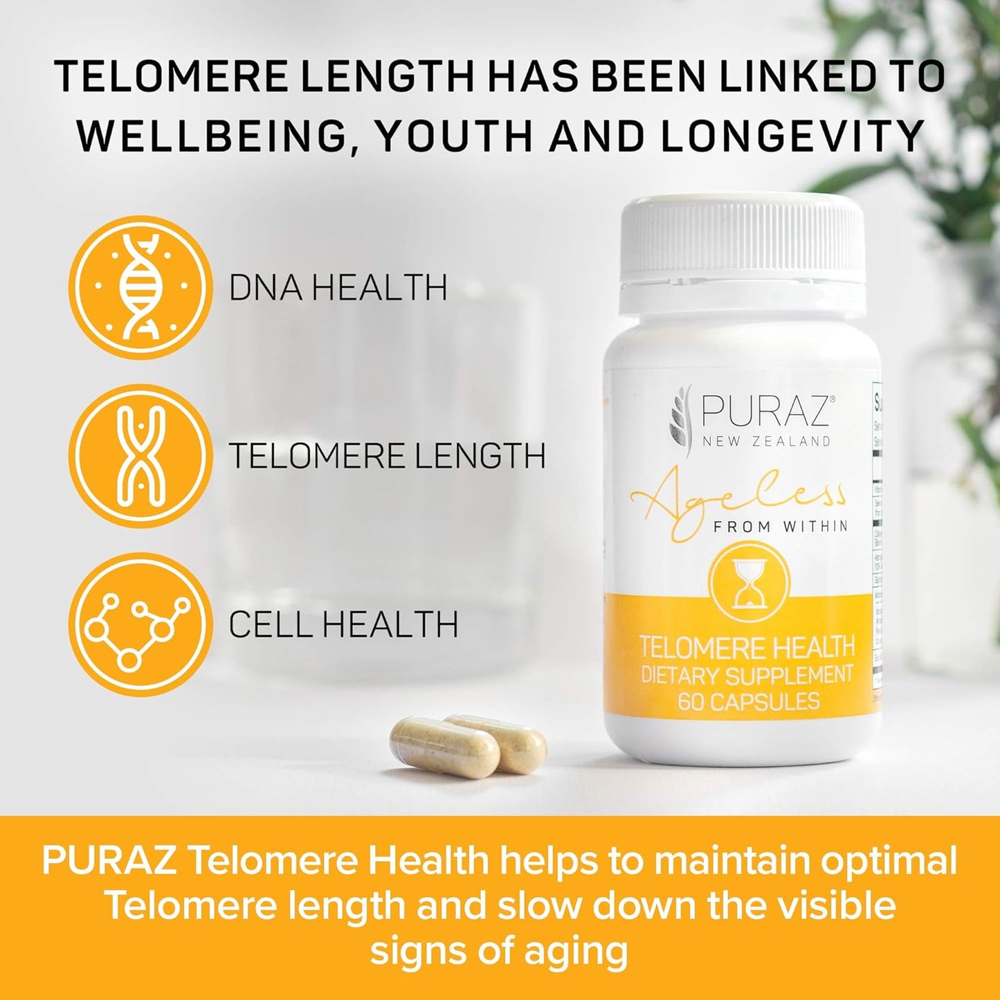 Telomere Supplements w/Potent Astragalus Root Extract and Collagen | Superior Immune Support, Anti-Aging, DNA Repair | Pure Telomerase Enzyme for Telomere Lengthening and Support | 60 Capsules