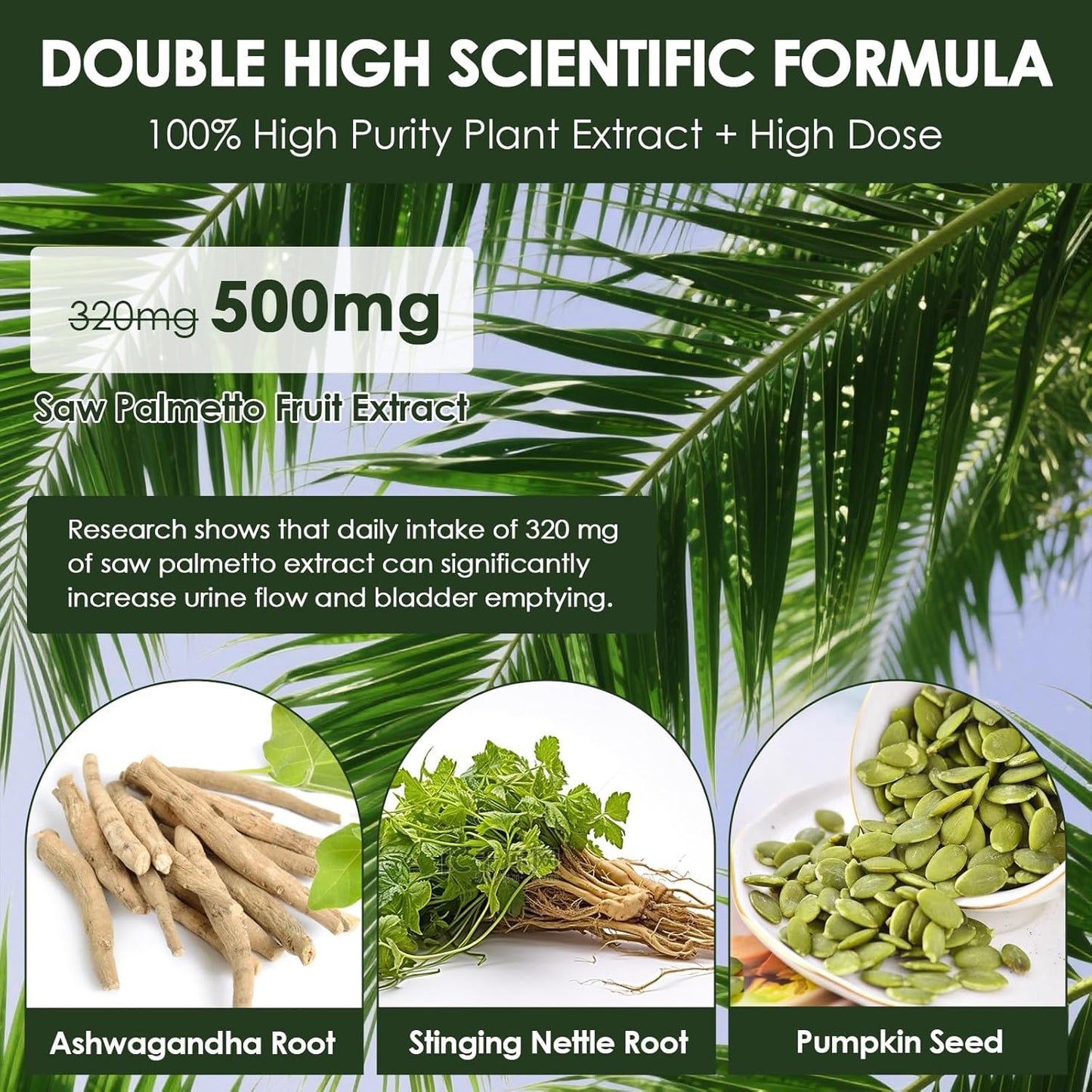 2Pack Organic Saw Palmetto - Prostate Health Supplements for Men with Ashwagandha Root, Stinging Nettle, Pumpkin Seed, Prostate Defend Propnietary Blend, DHT Blocker, 240 Count