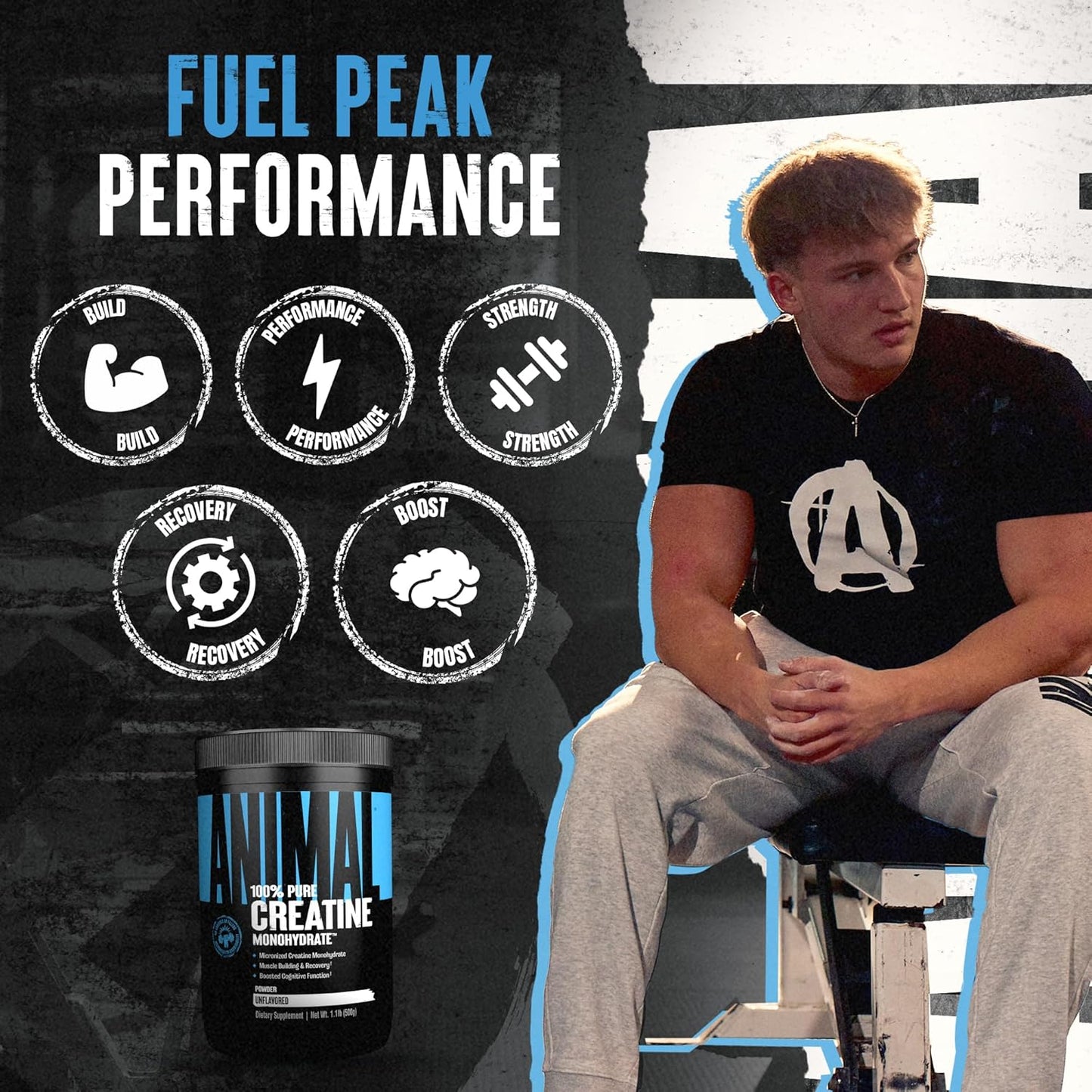 Animal Creatine Monohydrate Powder - Micronized Creatine for Women and Men, Supports Muscle Growth, Strength, Endurance, Recovery and ATP Production, Gym & Workout Supplements - Unflavored, 500g