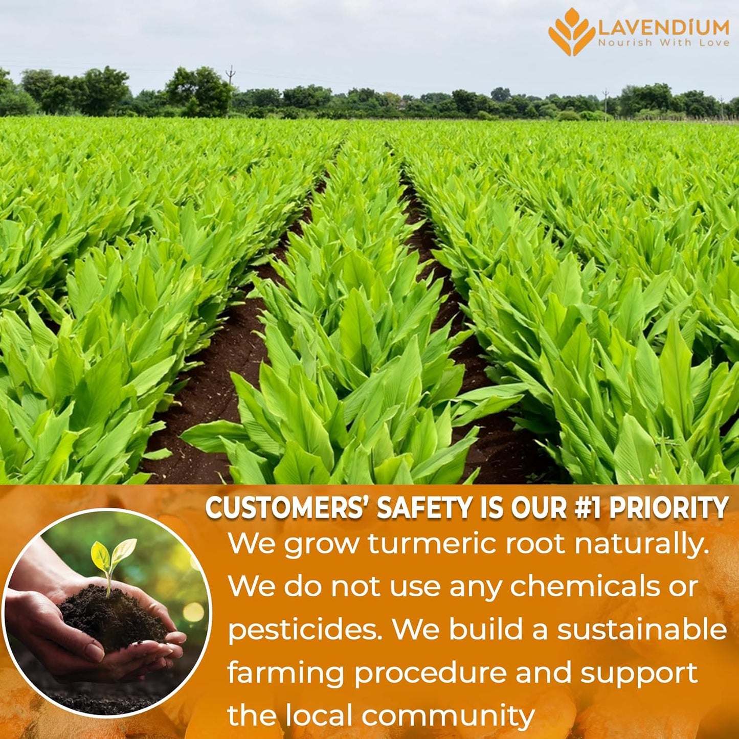 20oz (1.25 lbs) Turmeric Powder, 100% Natural & Pure, Ground, Seasoning Root Powder, No Additives, No Gluten, Vegan.