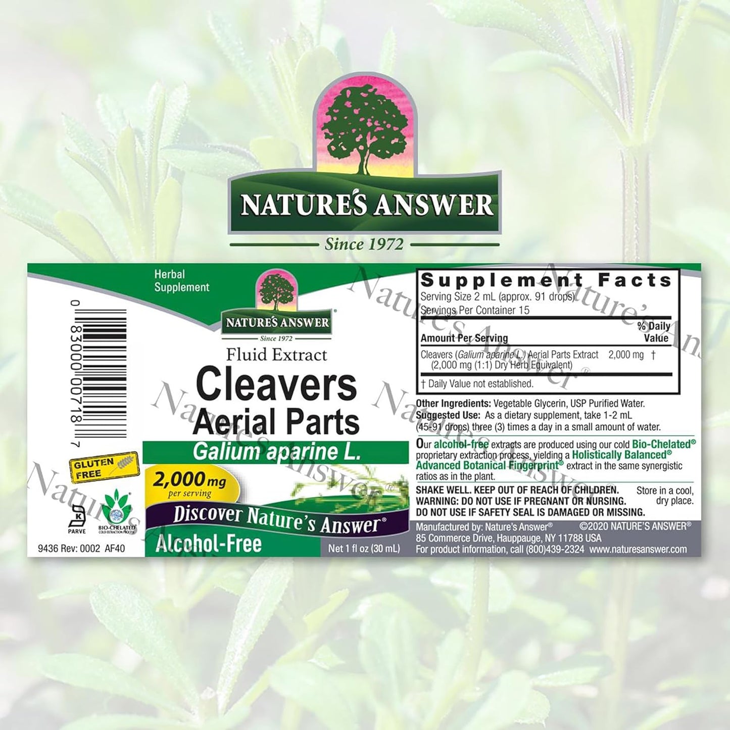 Nature's Answer Alcohol-Free Cleavers Herb, 1-Fluid Ounce | Supports Overall Wellbeing | Dietary Supplement