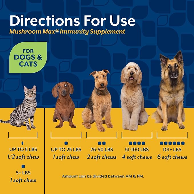 NaturVet Mushroom Max Advanced Immune Support Dog Supplement – Helps Strengthen Immunity, Overall Health for Dogs – Includes Shitake Mushrooms, Reishi, Turkey Tail – 120 Ct.