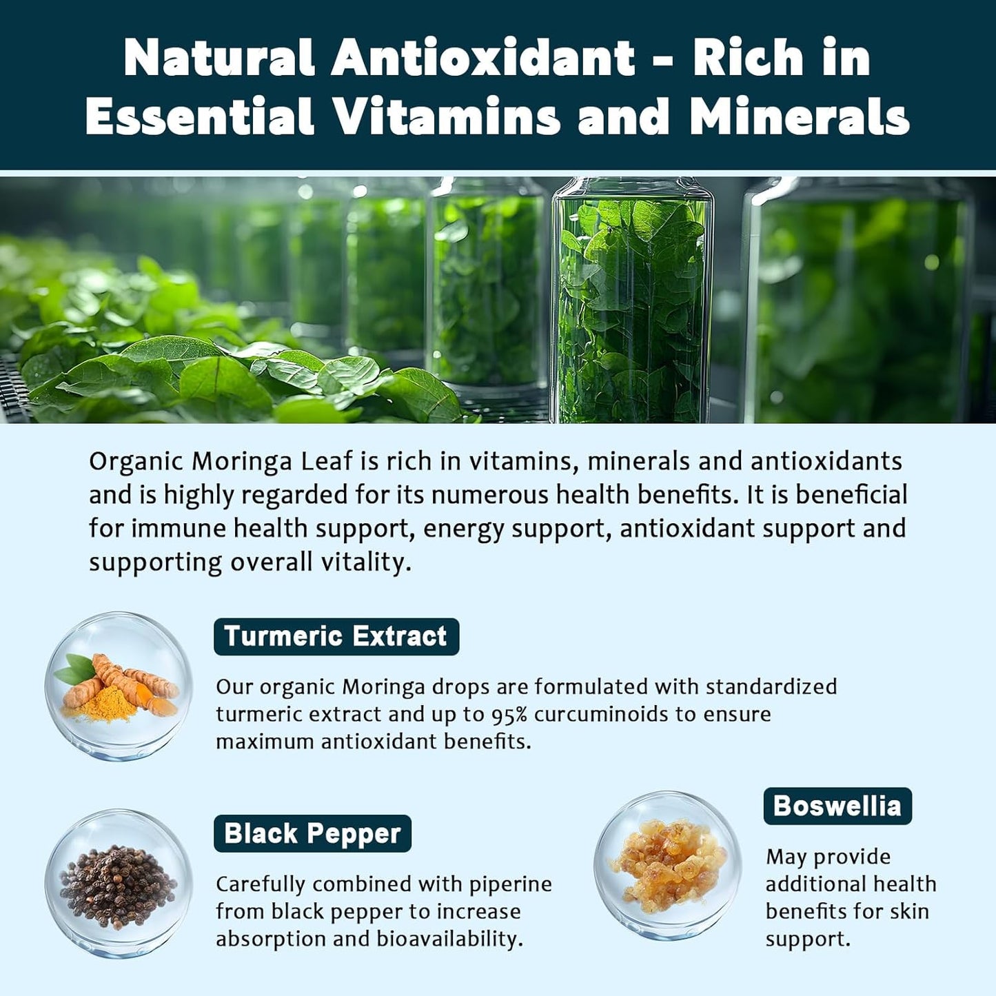 (2 Pack) Organic Moringa Leaf Extract Liquid Drops for Energy, Antioxidant, Skin, Immune Support, High Absorption, Moringa Supplement with Turmeric, Boswellia, Black Pepper- Vegan, Non-GMO, 1 Fl Oz